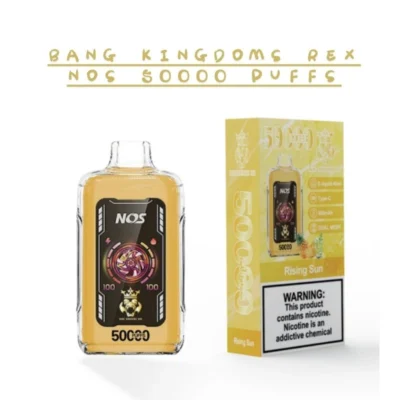 Bang Kingdoms Rex NOS 50000 Puffs Vape for Bulk Vape Buyers