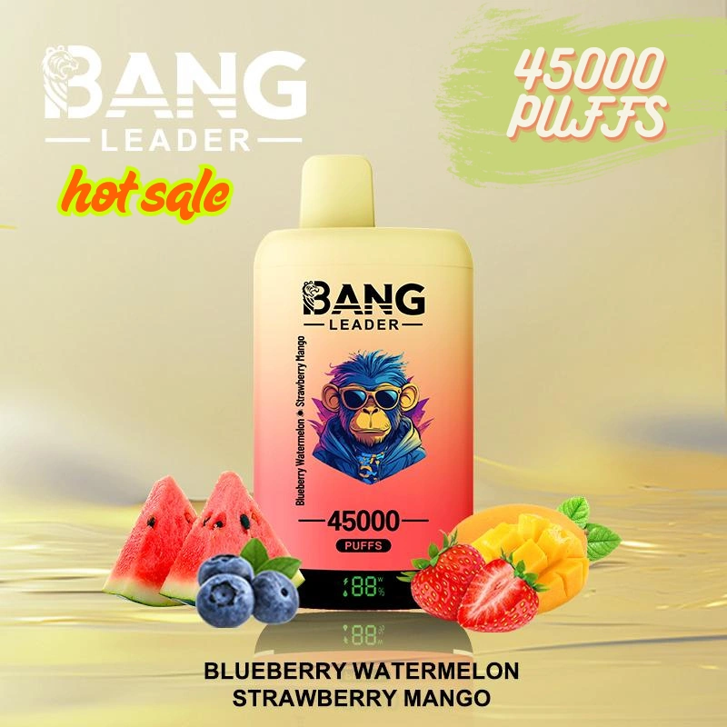 Top Sale BANG LEADER VAPE PUFFS 45K
